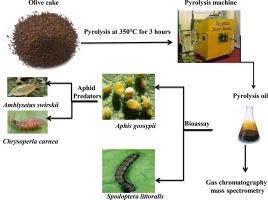 Insecticidal effects of the fast pyrolysis bio-oil against Spodoptera littoralis and Aphis gossypii insect pests