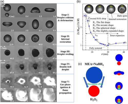 Droplet collision of hypergolic propellants