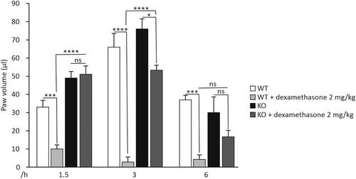 The glucocorticoid dexamethasone alleviates allergic inflammation through a mitogen-activated protein kinase phosphatase-1-dependent mechanism in mice