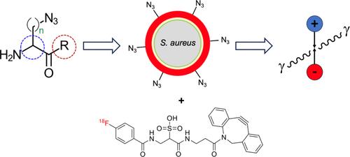 Bioorthogonal Radiolabeling of Azide-Modified Bacteria Using [18F]FB-sulfo-DBCO