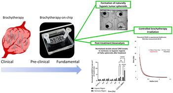 Brachytherapy on-a-chip: a clinically-relevant approach for radiotherapy testing in 3d biology†