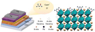 Molecular engineering with CuanCl for effective optimization of a defective interface for wide-bandgap perovskite solar cells†