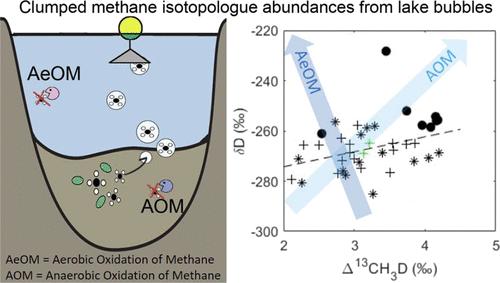 Methane Clumped Isotopologue Variability from Ebullition in a Mid-latitude Lake