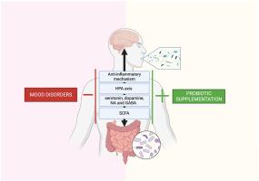 The influence of the gut-brain axis on anxiety and depression: A review of the literature on the use of probiotics