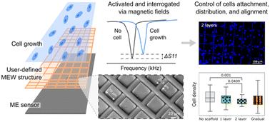 Integration of melt electrowritten microfibers with magnetoelastic sensors for continuous monitoring of cell growth†