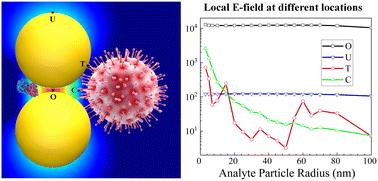 The impact of analyte size on SERS enhancement location, enhancement factor, excitation wavelength, and spectrum