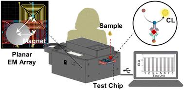 Portable microfluidic immunoassay platform for the detection of inflammatory protein biomarkers†