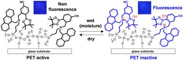 Anthracene-(aminomethyl)phenylboronic acid ester-immobilized glass substrates as fluorescent sensing materials based on photo-induced electron transfer for detection and visualization of water†