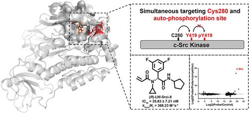 Discovery of a Covalent Inhibitor Selectively Targeting the Autophosphorylation Site of c-Src Kinase