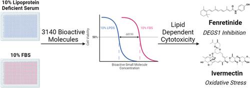 Lipid-Restricted Culture Media Reveal Unexpected Cancer Cell Sensitivities