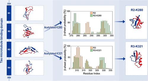 Molecular Insights into the Differential Effects of Acetylation on the Aggregation of Tau Microtubule-Binding Repeats