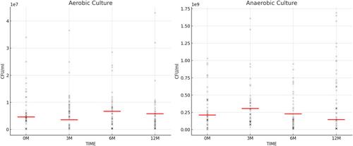 Assessment of Faecal Microbiota Transplant Stability in Deep-Freeze Conditions: A 12-Month Ex Vivo Viability Analysis