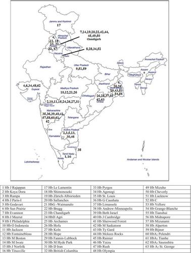 Wide spectrum of novel and rare hemoglobin variants in the multi-ethnic Indian population: A review