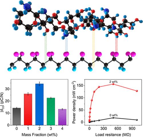 Chitosan-Doped PVDF Film with Enhanced Electroactive β Phase for Piezoelectric Sensing