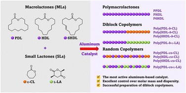 Controlled ring-opening (co)polymerization of macrolactones: a pursuit for efficient aluminum-based catalysts†