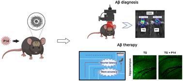 A novel BODIPY-based theranostic agent for in vivo fluorescence imaging of cerebral Aβ and ameliorating Aβ-associated disorders in Alzheimer's disease transgenic mice†