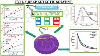 Solute dynamics of a hydrophobic molecule in a menthol–thymol based type-V deep eutectic solvent: effect of composition of the components†