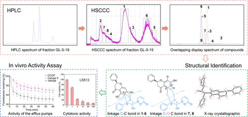 Uncovering the Power of HSCCC: Separation of Diastereomeric and Regioisomeric Styrylpyrones from the Stem Bark of Goniothalamus leiocarpus