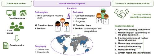 Recommendations on maximising the clinical value of tissue in the management of patients with intrahepatic cholangiocarcinoma