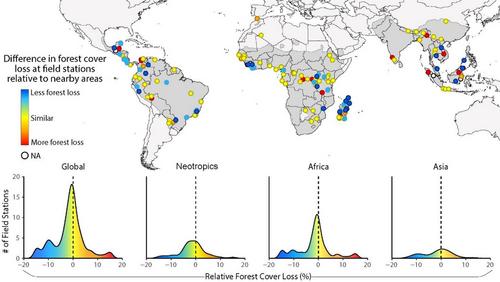 Tropical field stations yield high conservation return on investment