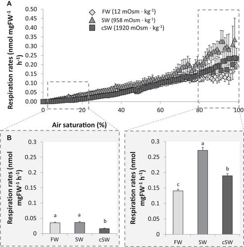 Salinity stress in the black-chinned tilapia Sarotherodon melanotheron