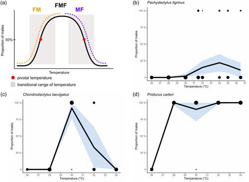 Pivotal temperature is not for everyone: Evidence for temperature-dependent sex determination in three gecko species