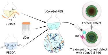 ECM-based bioadhesive hydrogel for sutureless repair of deep anterior corneal defects†