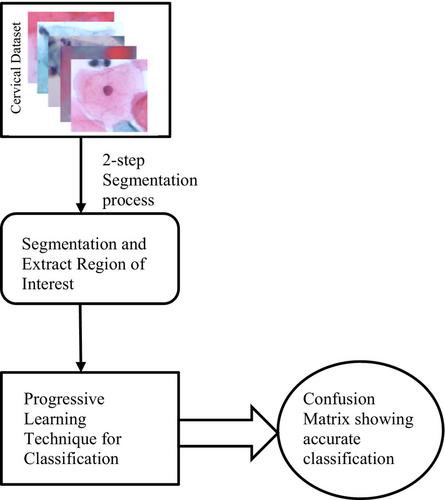 Improving cervical cancer classification in PAP smear images with enhanced segmentation and deep progressive learning-based techniques