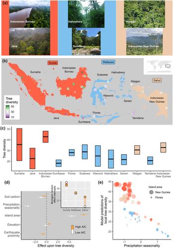 From earthquakes to island area: multi-scale effects upon local diversity