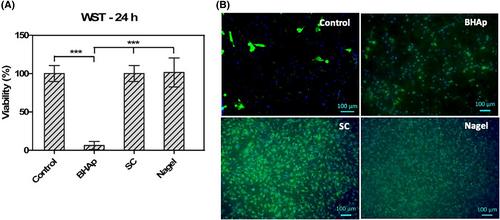 Mineral matrix deposition of MC3T3-E1 pre-osteoblastic cells exposed to silicocarnotite and nagelschmidtite bioceramics: In vitro comparison to hydroxyapatite