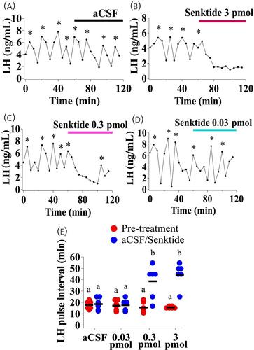 NK3R signalling in the posterodorsal medial amygdala is involved in stress-induced suppression of pulsatile LH secretion in female mice