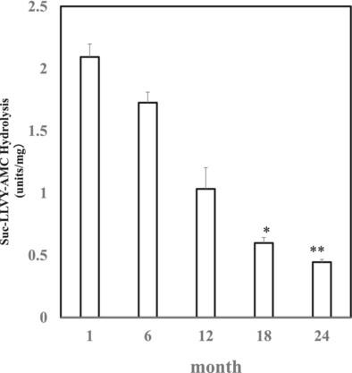 Changes in brain proteasome dynamics associated with aging