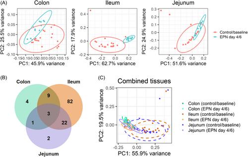 Microbiome changes under enteral deprivation are dynamic and dependent on intestinal location