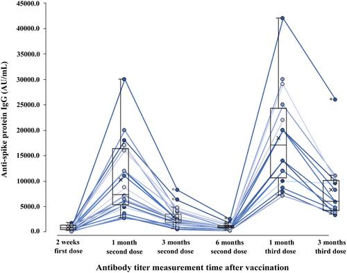 Anti-spike protein IgG antibody responses up to 3 months after the third dose of the BNT162b2 mRNA vaccine in medical care workers