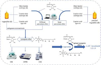 L-ascorbyl palmitate and endogenous micronutrients in vegetable oils provide synergistic antioxidant activities: Micronutrient species and concentration