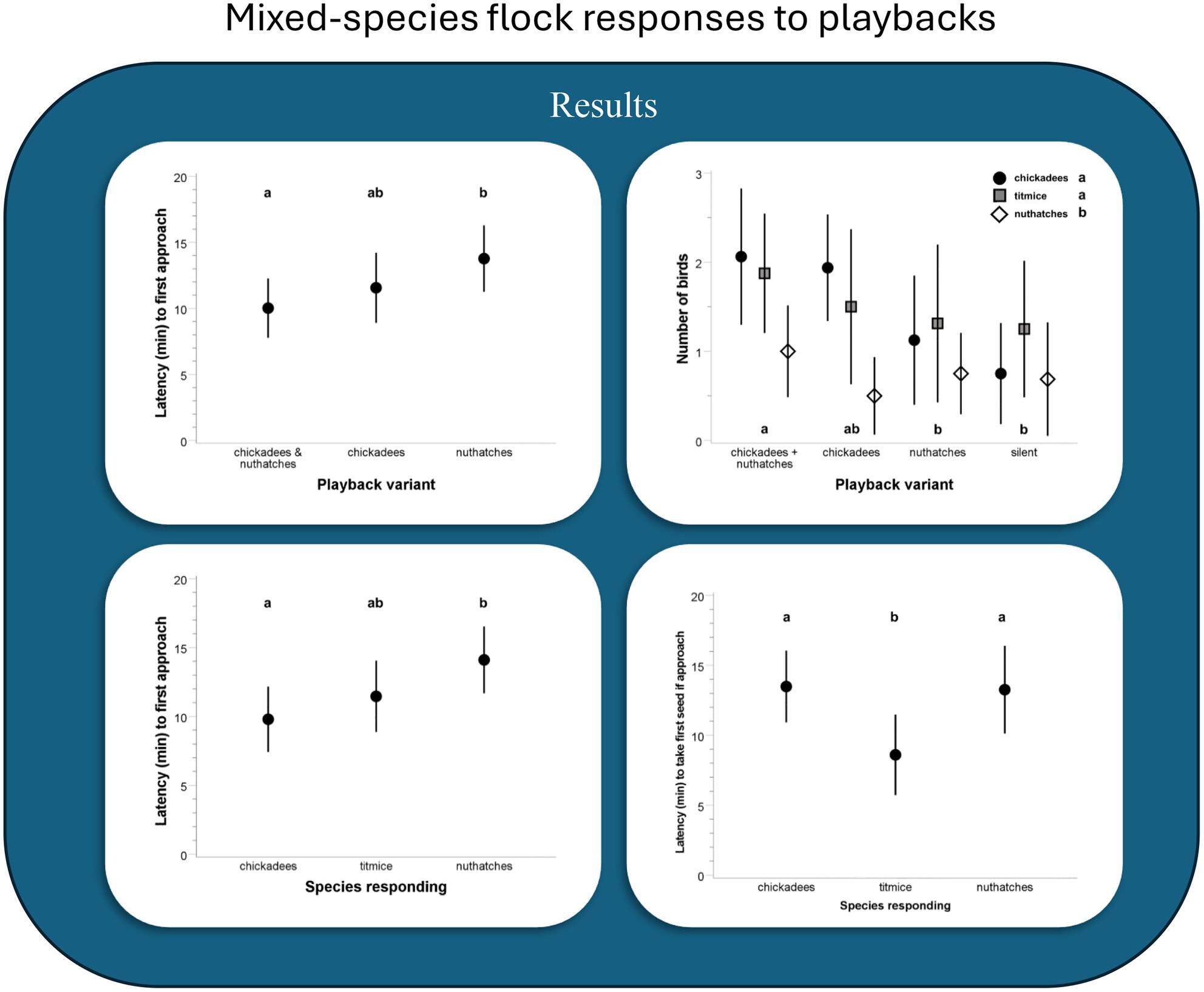 Single-species and multi-species playbacks elicit asymmetrical responses within mixed-species chickadee, titmouse, and nuthatch flocks