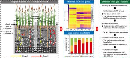 Enhancing nitrogen removal in constructed wetlands: The role of influent substrate concentrations in integrated vertical-flow systems