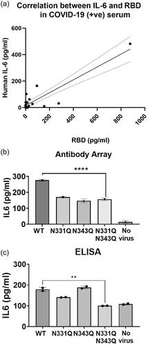 N-glycosylation of the SARS-CoV-2 spike protein at Asn331 and Asn343 is involved in spike-ACE2 binding, virus entry, and regulation of IL-6