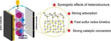 Promoting overall sulfur redox kinetics for Li–S batteries via interfacial synergy in a NiS–NiTe2 heterostructure-modified separator†