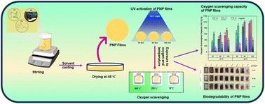 Ultra-violet light-driven green oxygen scavenging composite made of PVA/NRL for active packaging: an alternative to metallic oxygen scavengers†