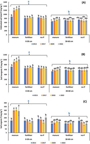 Long-term dairy manure amendment promotes legacy phosphorus buildup and mobility in calcareous soils