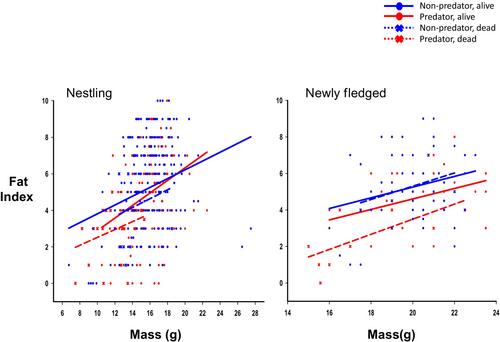 Fear of predators reduces body and physiological condition affecting offspring survival and the ‘quality’ of the survivors