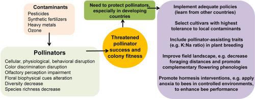 Pollution shows no mercy to pollination: Act yesterday