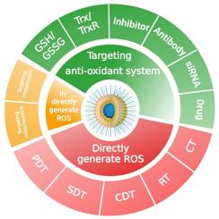 Nanoparticles (NPs)-mediated targeted regulation of redox homeostasis for effective cancer therapy