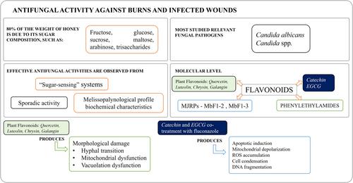 Antimicrobial activity of stingless bee honey (Tribe: Meliponini) on clinical and foodborne pathogens: A systematic review and meta-analysis