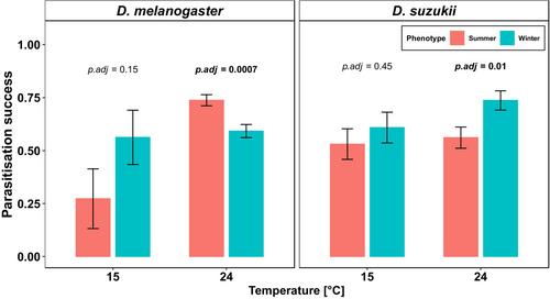 Does the seasonal phenotype of Drosophila suzukii influence cellular immunity and parasitisation?