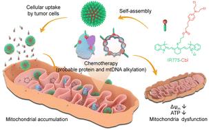 A mitochondria-targeting heptamethine cyanine-chlorambucil formulated polymeric nanoparticle to potentiate native tumor chemotherapeutic efficacy†