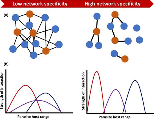 Network specificity decreases community stability and competition among avian haemosporidian parasites and their hosts