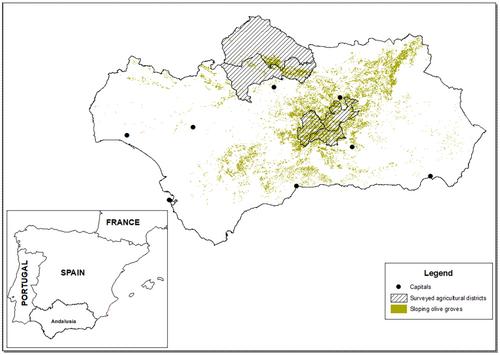 Comparing practice- and results-based agri-environmental schemes controlled by remote sensing: An application to olive groves in Spain