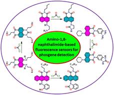 Reactivity-based amino-1,8-naphthalimide fluorescent chemosensors for the detection and monitoring of phosgene